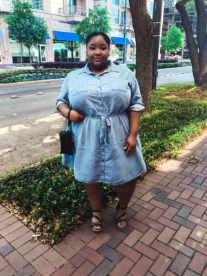 Plus size denim dresses